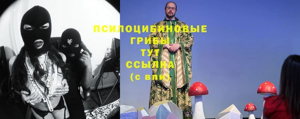 гидропоника Михайлов